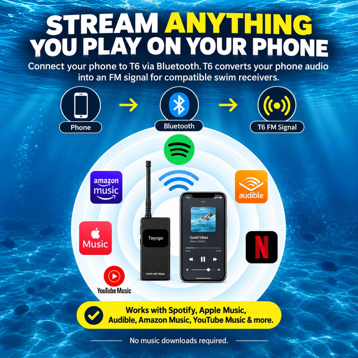 Tayogo T6 StreamPort FM Transmitter for Swimming Audio & Coaching