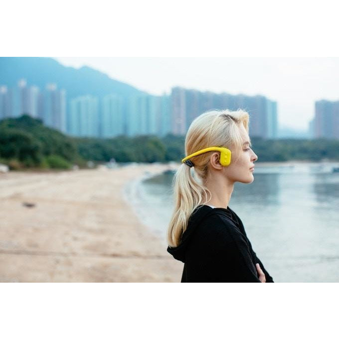 Tayogo IPX8 MP3 Bone Conduction Waterproof Headphone FM - waterpoof mp3 player;swimming headphone;bone conduction headphone;bone conduction bluetooth;tayogo