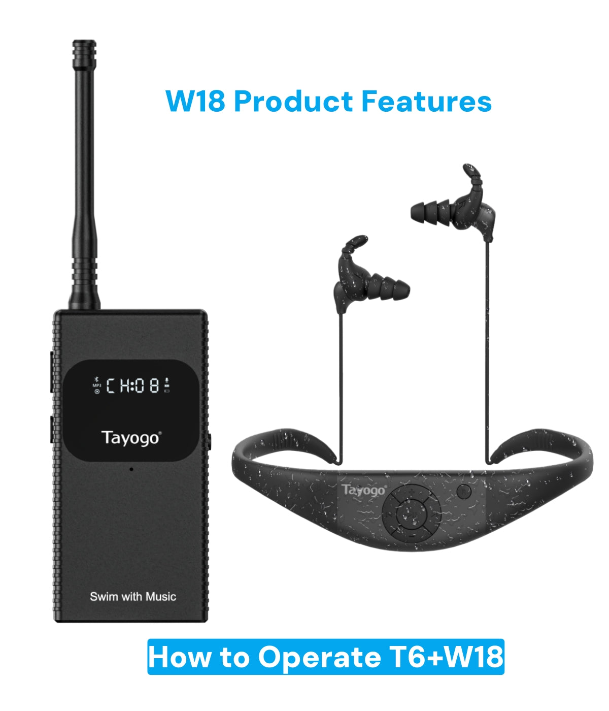 T6W18_05b04551-78b9-4fe4-ae8e-
